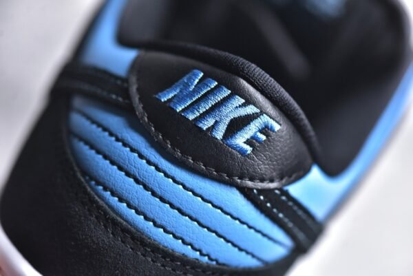 Nike SB Dunk Low Black North Carolina    304292-048 - Image 13